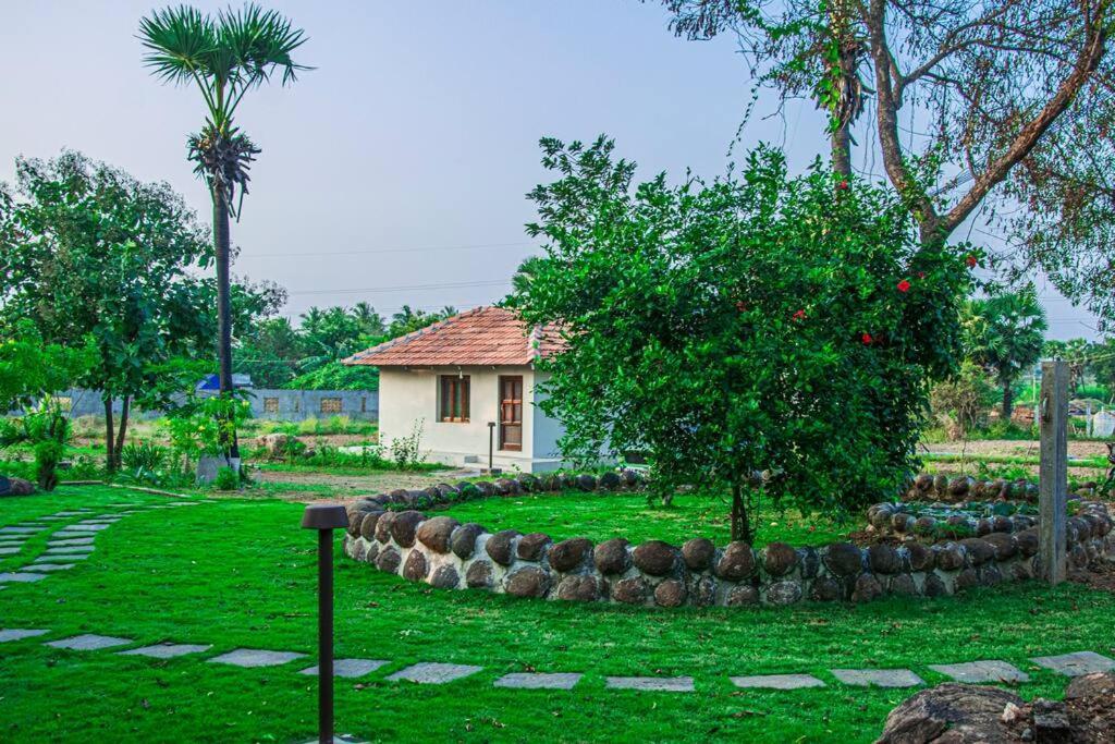 Holy Mountain Villa - Tiruvannāmalai Exteriér fotografie